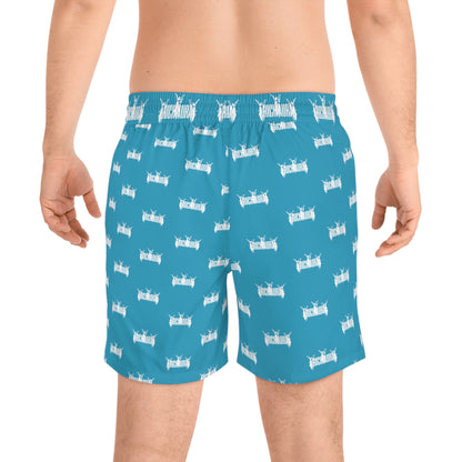 Rich Aura Swim Shorts - Turquoise